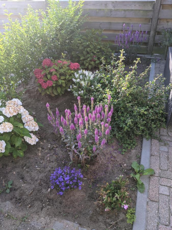 Logies21 Texel Bed & Breakfast Oosterend  Екстериор снимка
